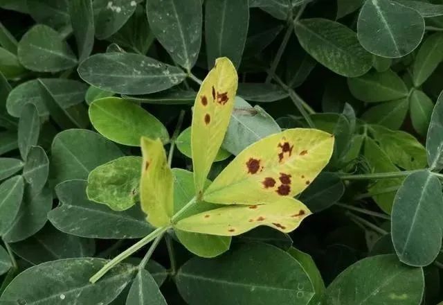 1768966751552809.jpg 1768966751552809.jpg