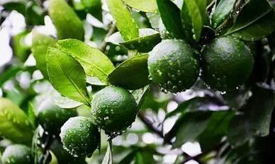 1768966892161257.jpg 1768966892161257.jpg